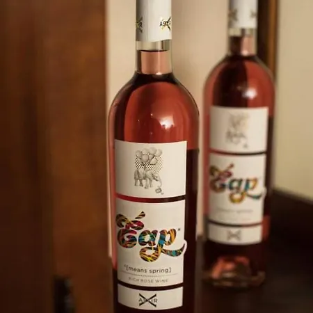 Hotel Ntouana Kalamáta