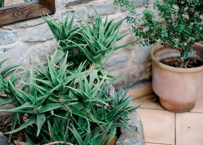 Ξενοδοχείο Ntouana Καλαμάτα